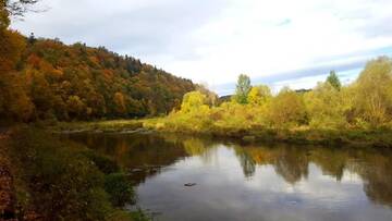 Фото номера Апартаменты с 2 спальнями Проживание в семье Chata nad Sanem г. Zwierzyń 8