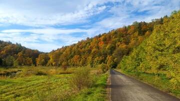 Фото номера Апартаменты с террасой Проживание в семье Chata nad Sanem г. Zwierzyń 76